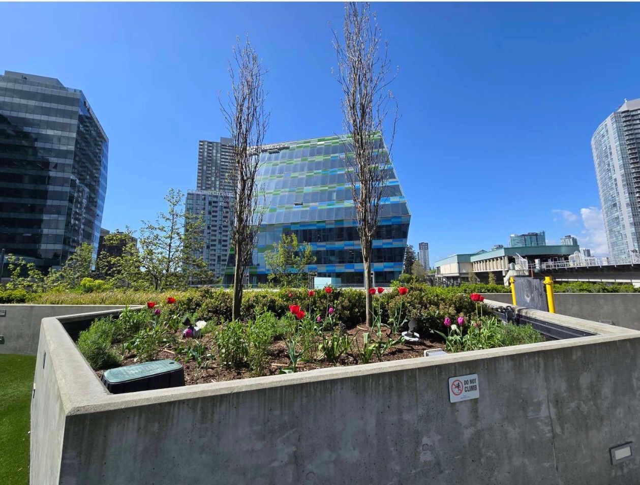 Landscape Maintenance