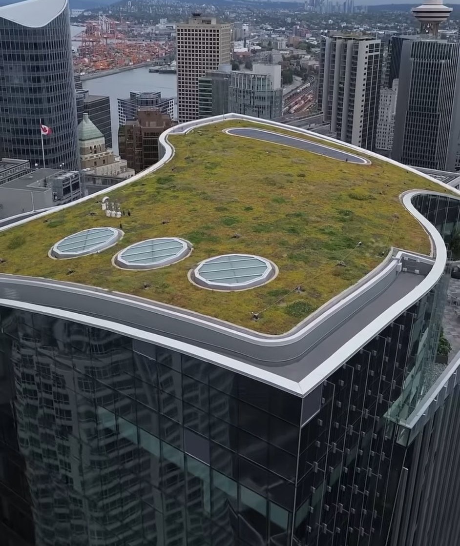 Landscape Maintenance